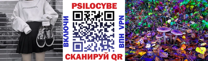 Псилоцибиновые грибы прущие грибы закладки Трубчевск